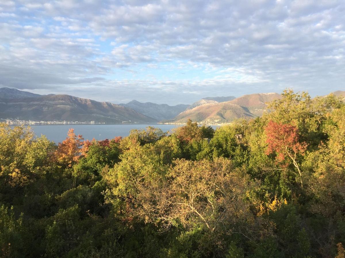 Patrick House Villa Tivat Kültér fotó